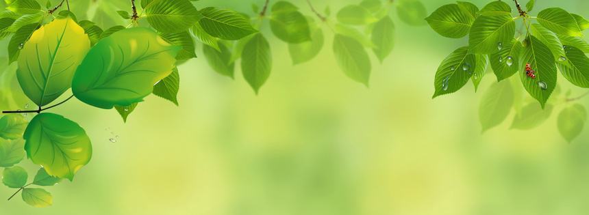 lovepik green natural banner background image 500371077