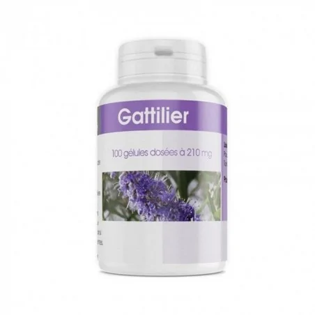 gph diffusion gattilier 100 gelules dosees a 210 mg