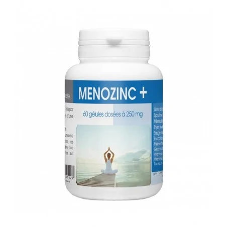 gph diffusion menozinc 250mg 60 gelules