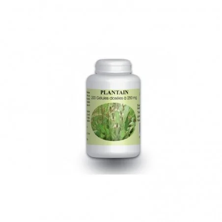 gph diffusion plantain bio 200 gelules a 250mg