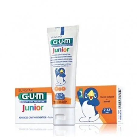 gum dentifrice junior